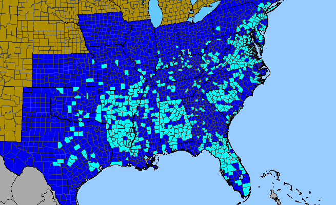 The range of Broussonetia papyrifera